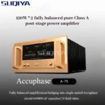 Sbcf62026a3be4c8a8088813e7064eb8ea-1 SUQIYA-Reference Accuphase A-75 High-end Pure Class A Amplifier HiFi Balanced Amplifier Home Audio Speaker Protection 120W