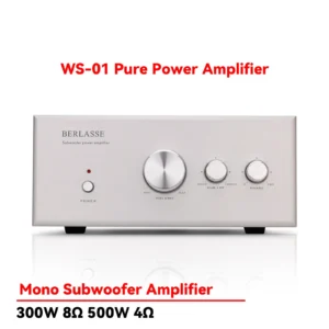 SUQIYA HIFI High Power 500W Passive Subwoofer Amplifier Home Fever Bass Amplifier 5.1/2.1 System Dedicated