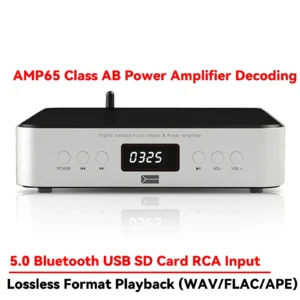 SUQIYA HIFI Digital Audio Amplifier 80W*2 Power Bluetooth 5.0 Music Turntable USB SD Card Input Support IR Remote Control FM