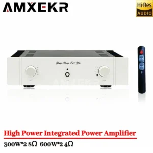 SUQIYA Eternal Sound High Power Fever Class A HiFi Amplifier Combiner Fully Balanced Bluetooth Remote Control Power Amplifier